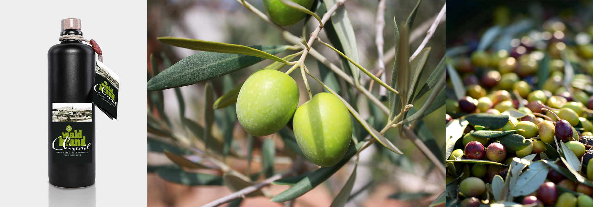 Waldbrand Olivenöl